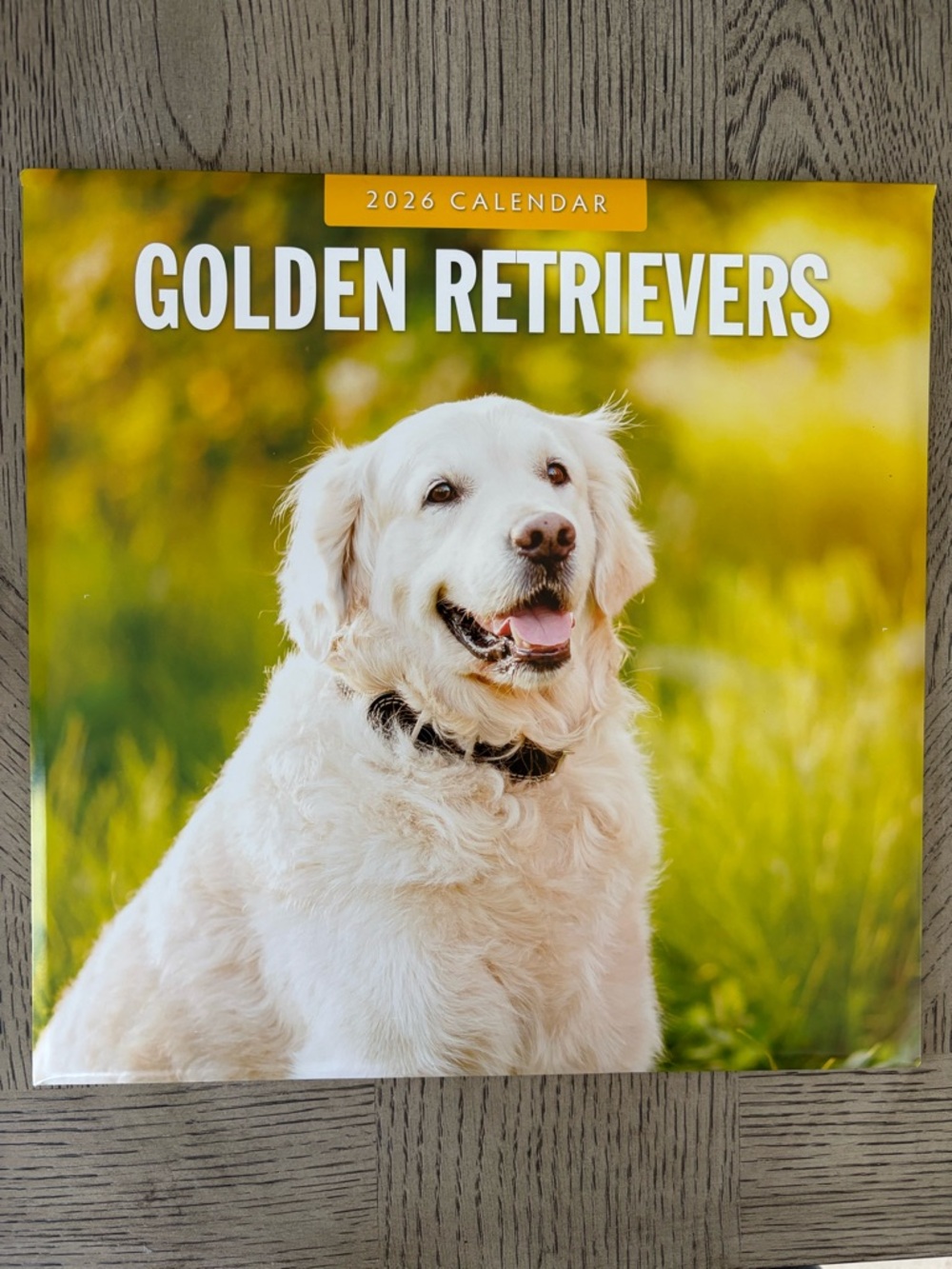 2026 Golden Retrievers Monthly Wall Calendar